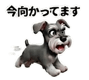 804461789