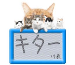 804472920