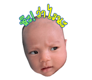 804490173
