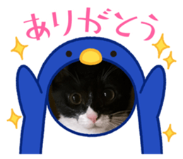 804500179