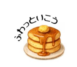 804502053