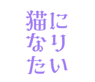 804507285