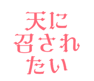 804507286