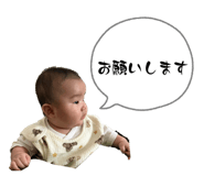 804507436