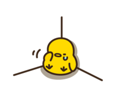 8045137