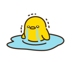 8045144