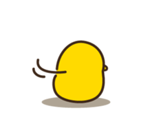 8045147