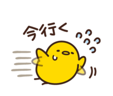 8045148