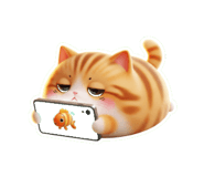 804544407