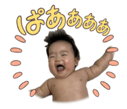 804609037