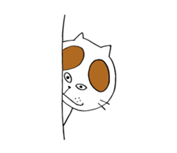 8046210
