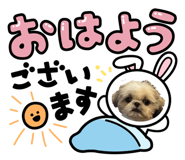804635312