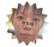 804648161