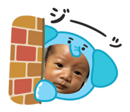 804656074
