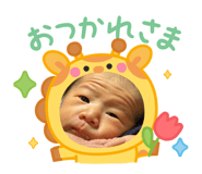 804656076