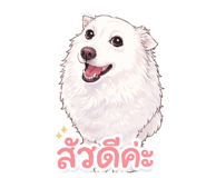 804659937