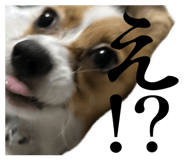 804660831