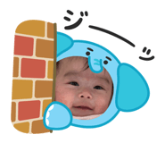 804663073