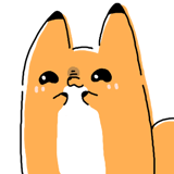 804675841