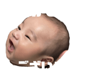 804676725