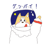 804684097