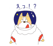 804684100