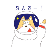 804684103