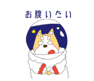 804684110