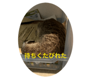 804684989