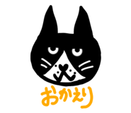 804687062