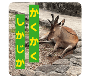 804700108