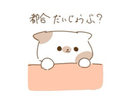 804700895