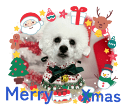 804718879