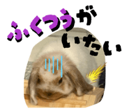 804733299