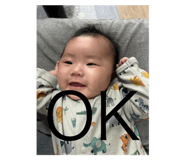 804746638