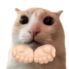 Silly Goofy Dip Catto รูปที่ 1