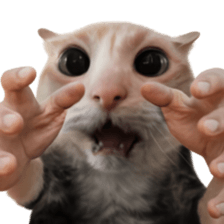 Silly Goofy Dip Catto รูปที่ 2
