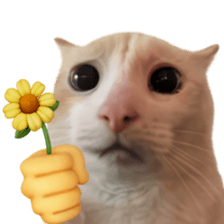Silly Goofy Dip Catto รูปที่ 4