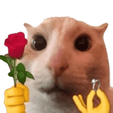 Silly Goofy Dip Catto รูปที่ 6