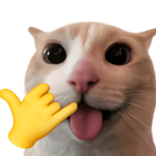 Silly Goofy Dip Catto รูปที่ 7