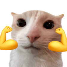 Silly Goofy Dip Catto รูปที่ 8