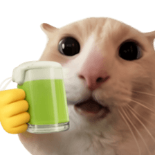 Silly Goofy Dip Catto รูปที่ 11