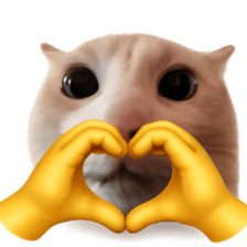 Silly Goofy Dip Catto รูปที่ 12