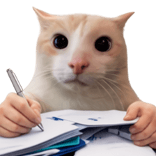 Silly Goofy Dip Catto รูปที่ 13