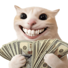 Silly Goofy Dip Catto รูปที่ 16