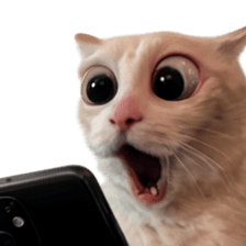 Silly Goofy Dip Catto รูปที่ 18