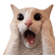 Silly Goofy Dip Catto รูปที่ 19