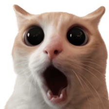 Silly Goofy Dip Catto รูปที่ 20