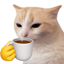 Silly Goofy Dip Catto รูปที่ 24