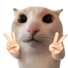 Silly Goofy Dip Catto รูปที่ 25